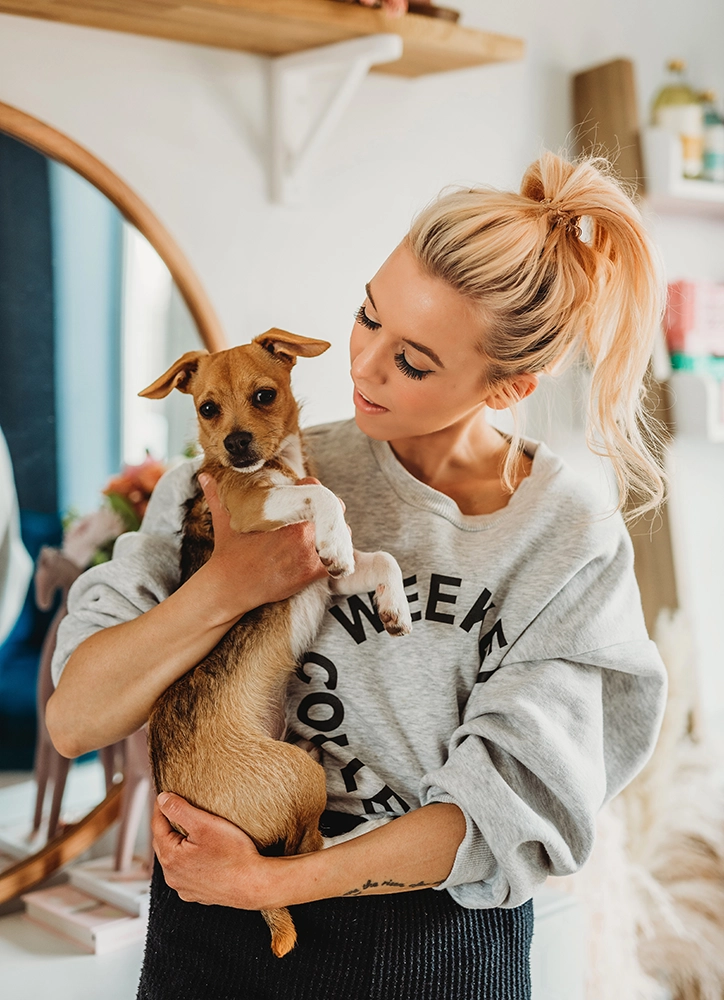 Woman tenderly holding jack russell chihuahaha puppy